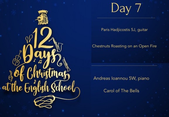 Day 7